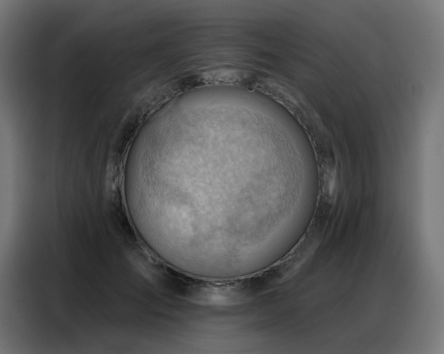 X0000088380701200705221054