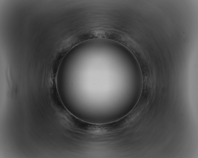 X0000088380702200705221054