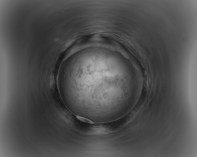 X0000088380704200705221054