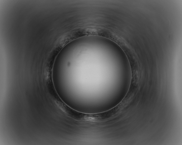 X0000088380706200705221053