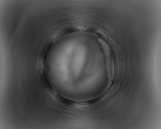 X0000088380707200705221053
