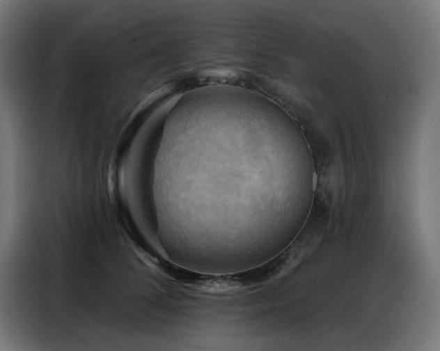 X0000088380708200705221053