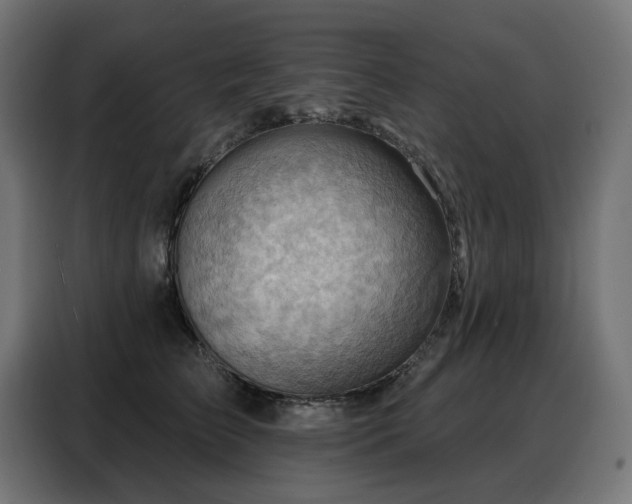 X0000088380709200705221053