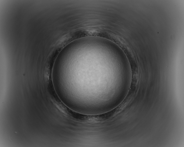 X0000088380710200705221053