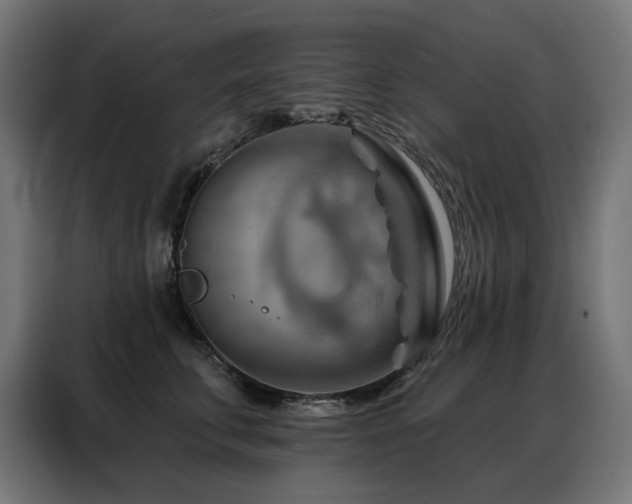 X0000088380711200705221053