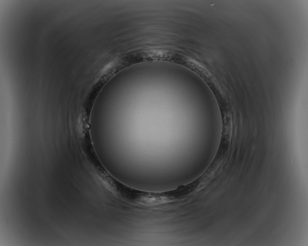 X0000088380712200705221053