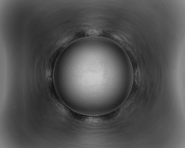 X0000088380714200705221053