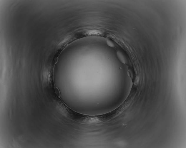 X0000088380715200705221053