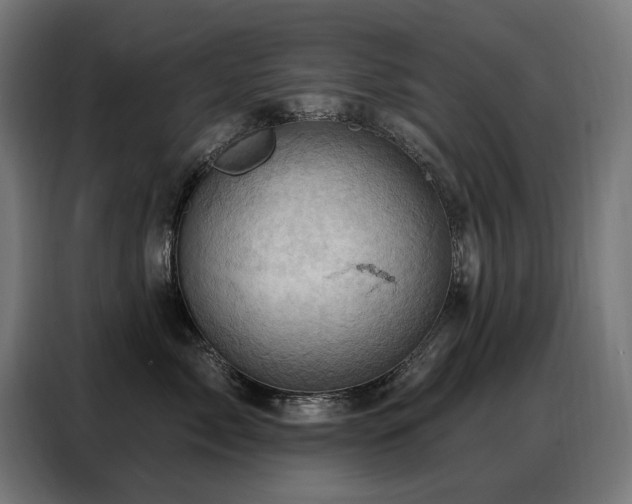 X0000088380717200705221053