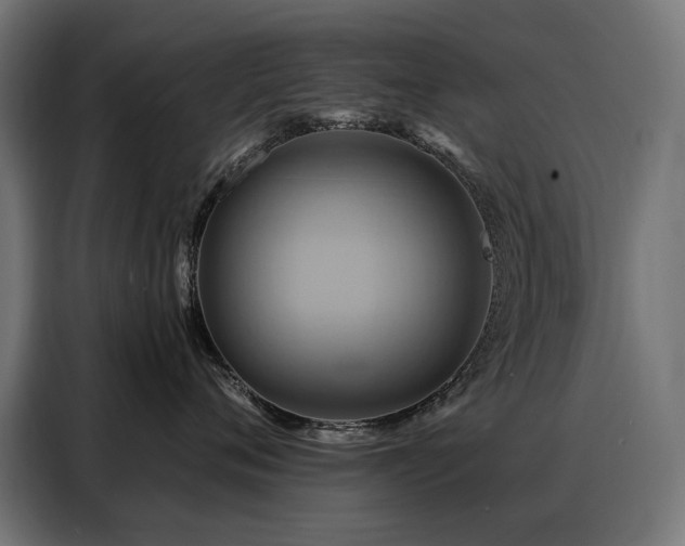 X0000088380720200705221053