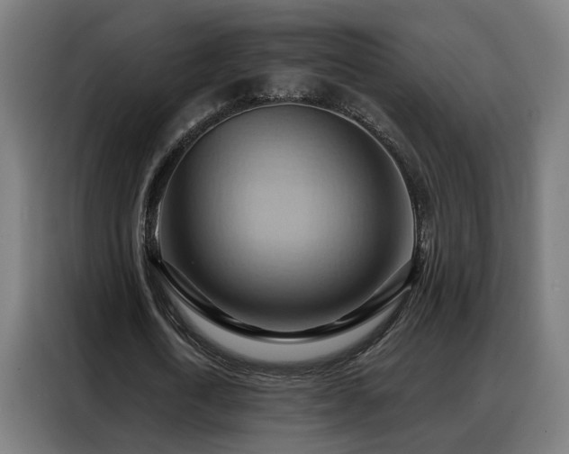 X0000088380722200705221053
