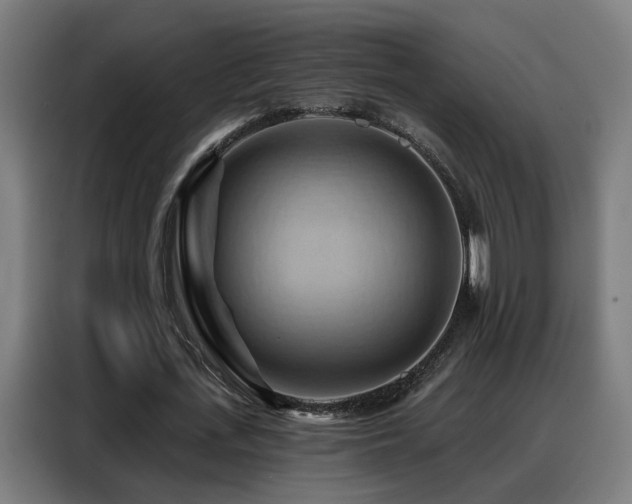 X0000088380723200705221053