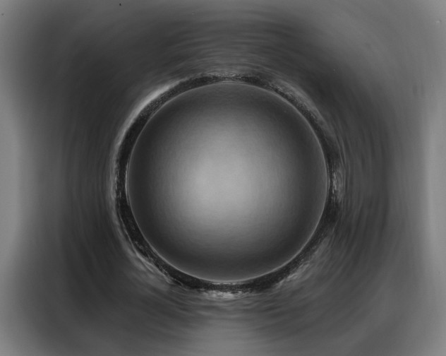 X0000088380724200705221053