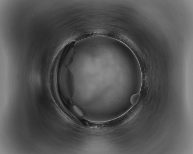 X0000088380725200705221053