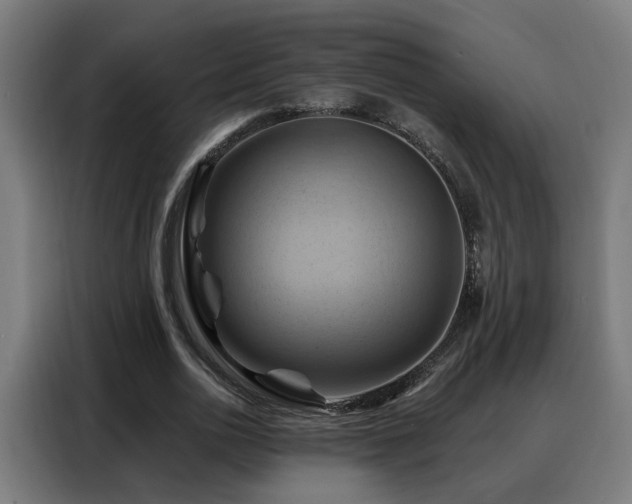 X0000088380726200705221053
