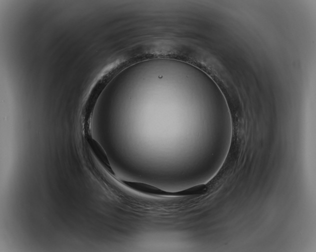 X0000088380727200705221053