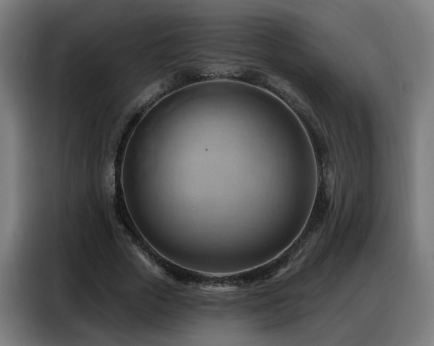 X0000088380729200705221053