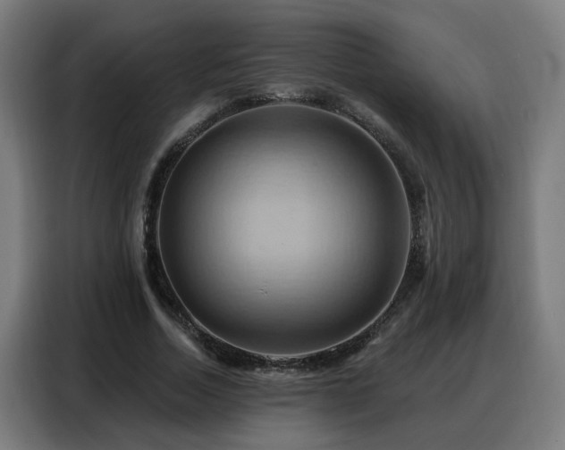 X0000088380730200705221053