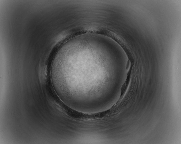 X0000088380731200705221053