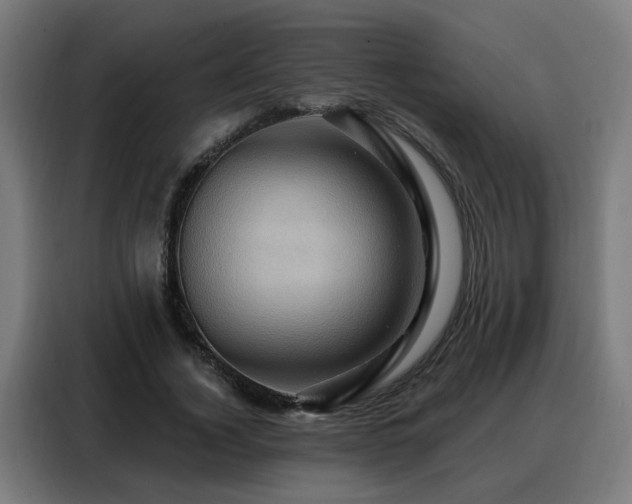 X0000088380732200705221053