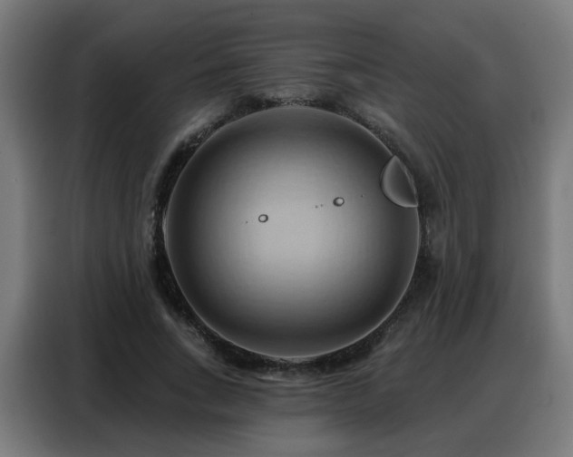 X0000088380735200705221053