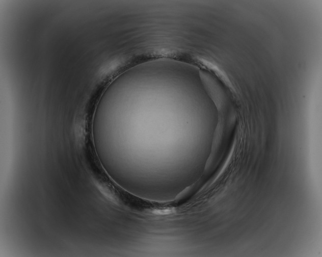 X0000088380736200705221053