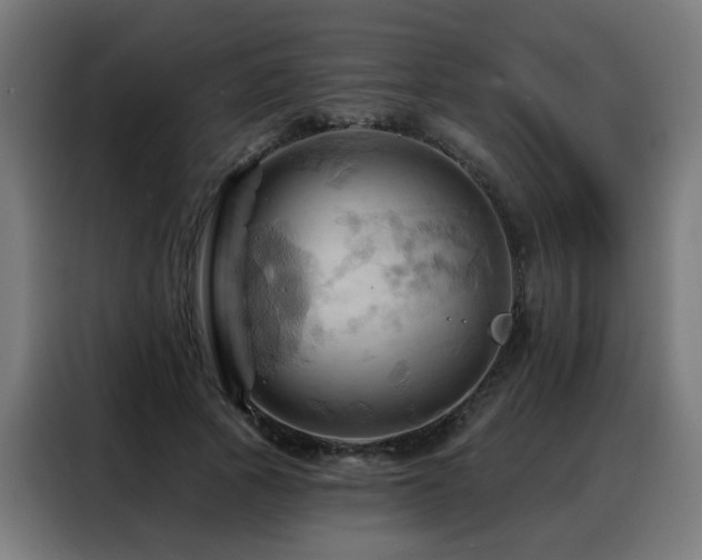 X0000088380737200705221053