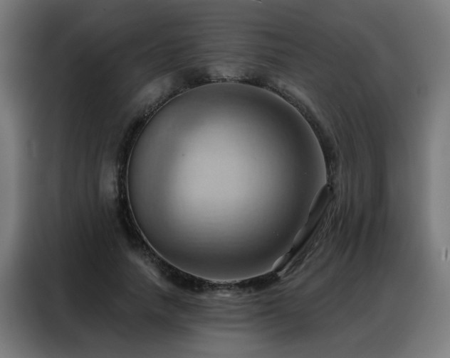 X0000088380738200705221053