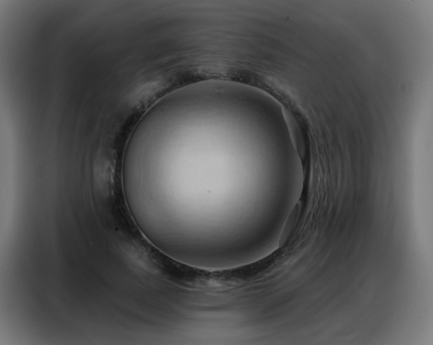 X0000088380739200705221053