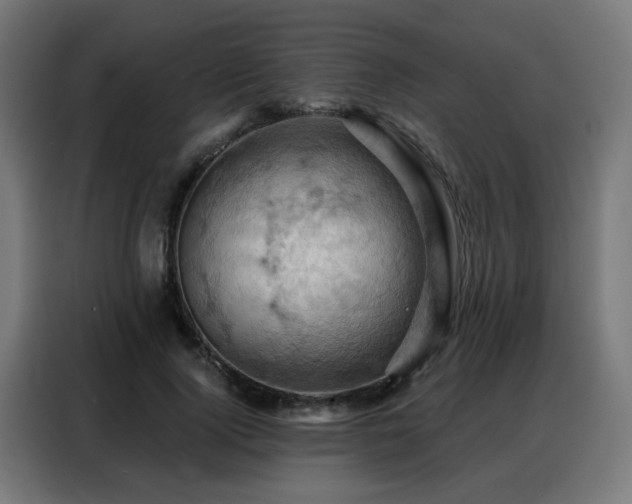 X0000088380740200705221053
