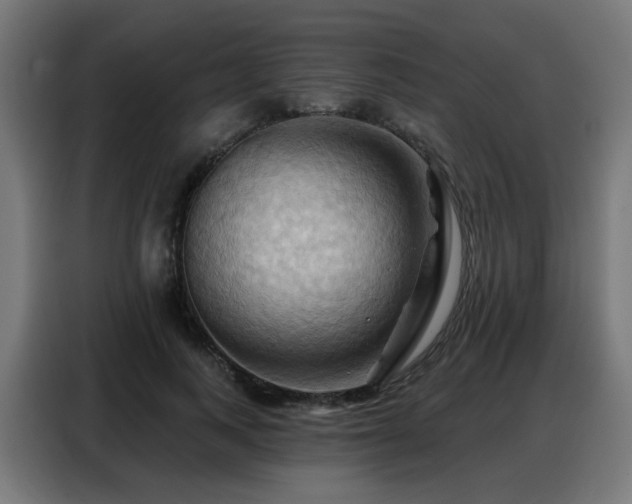 X0000088380743200705221053
