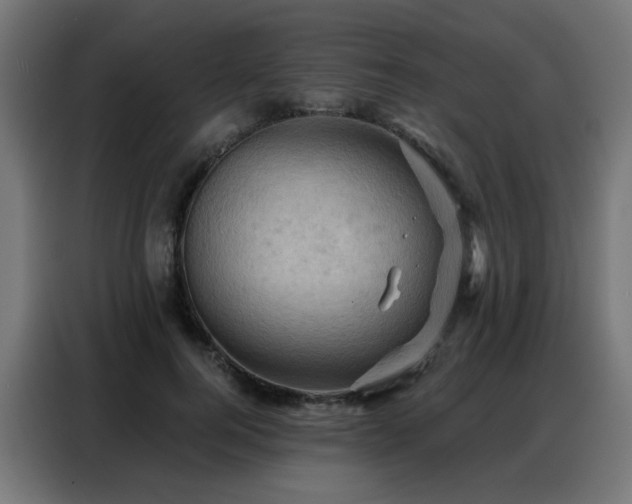 X0000088380744200705221053