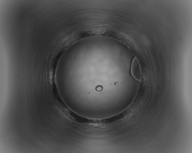 X0000088380745200705221053