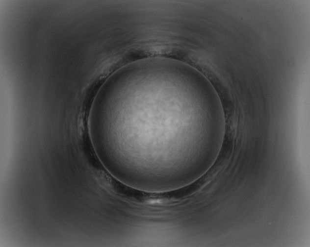 X0000088380746200705221053