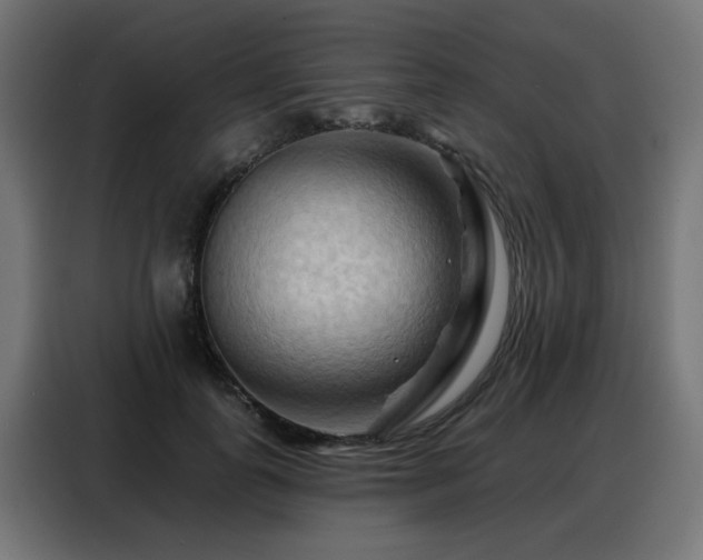 X0000088380747200705221053