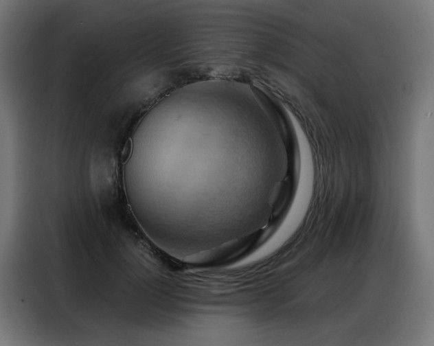 X0000088380748200705221053