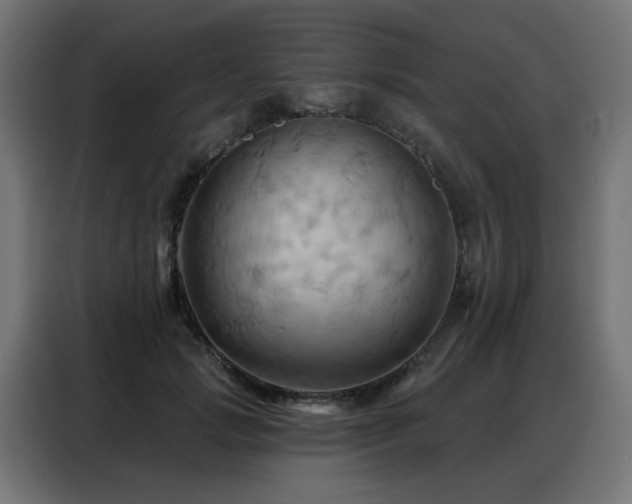 X0000088380749200705221053