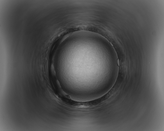 X0000088380750200705221053