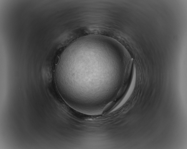 X0000088380751200705221053