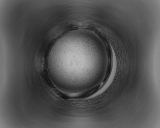 X0000088380752200705221053