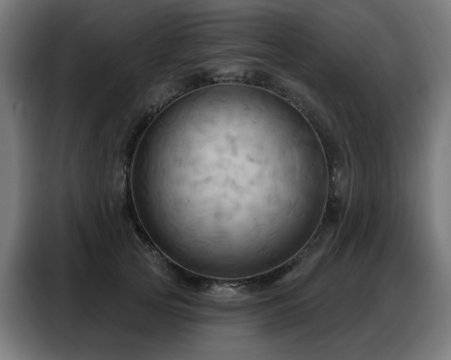 X0000088380753200705221053