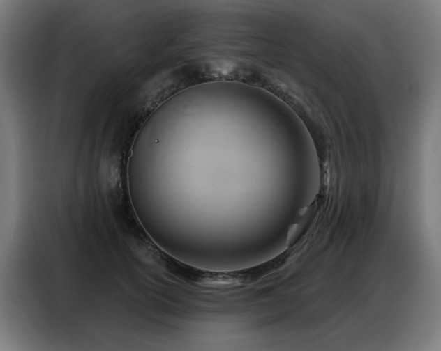 X0000088380754200705221053
