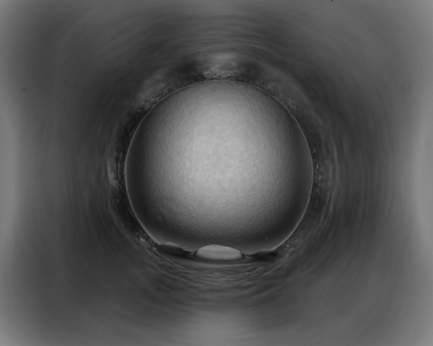 X0000088380755200705221053