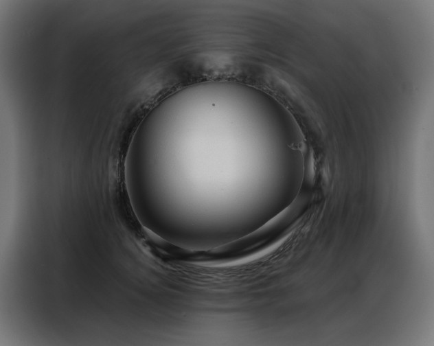 X0000088380756200705221053