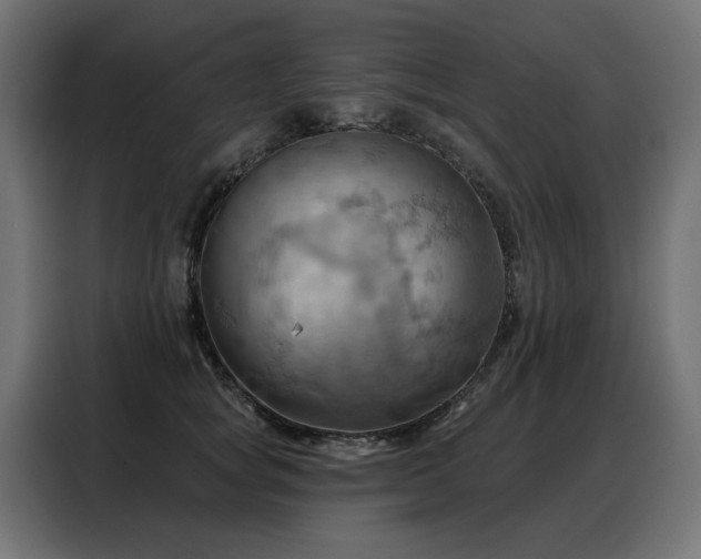 X0000088380757200705221053