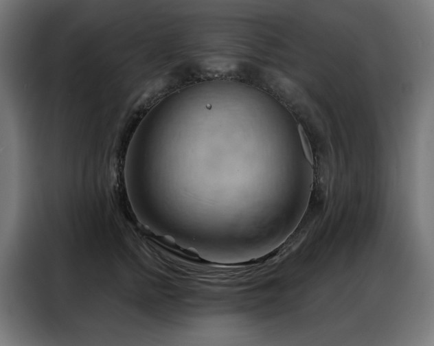 X0000088380758200705221053