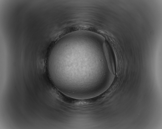 X0000088380759200705221053