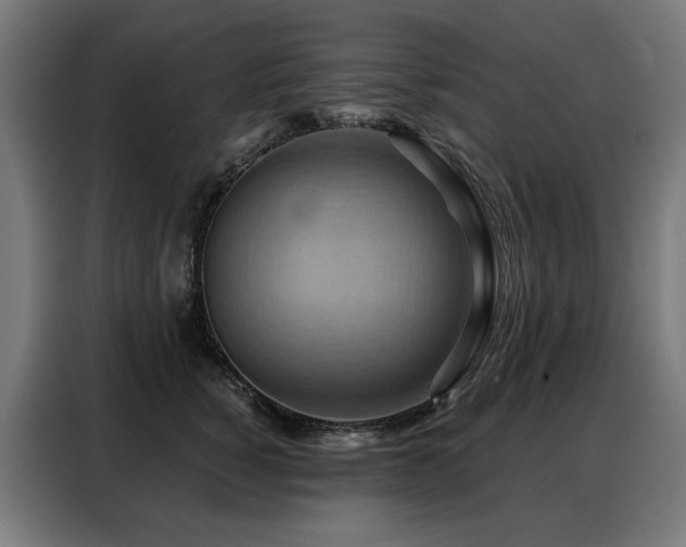 X0000088380760200705221053