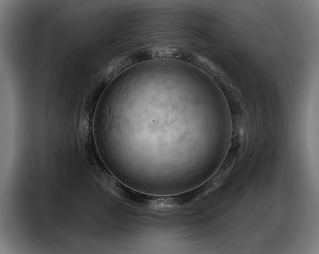 X0000088380761200705221053