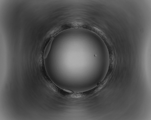 X0000088380762200705221053